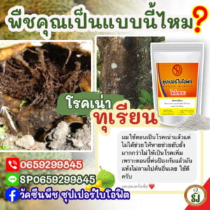 พืชคุณเป็นแบบนี้ไหม