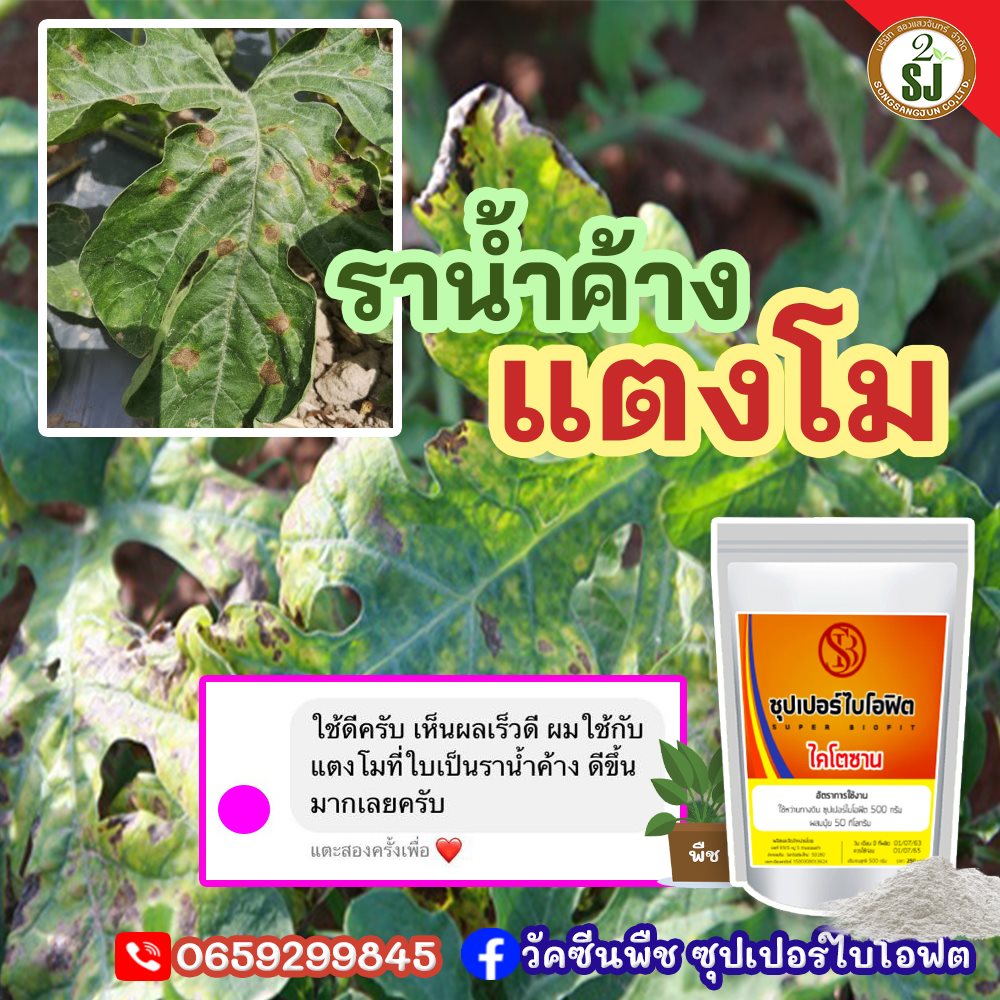 โรคราน้ำค้าง