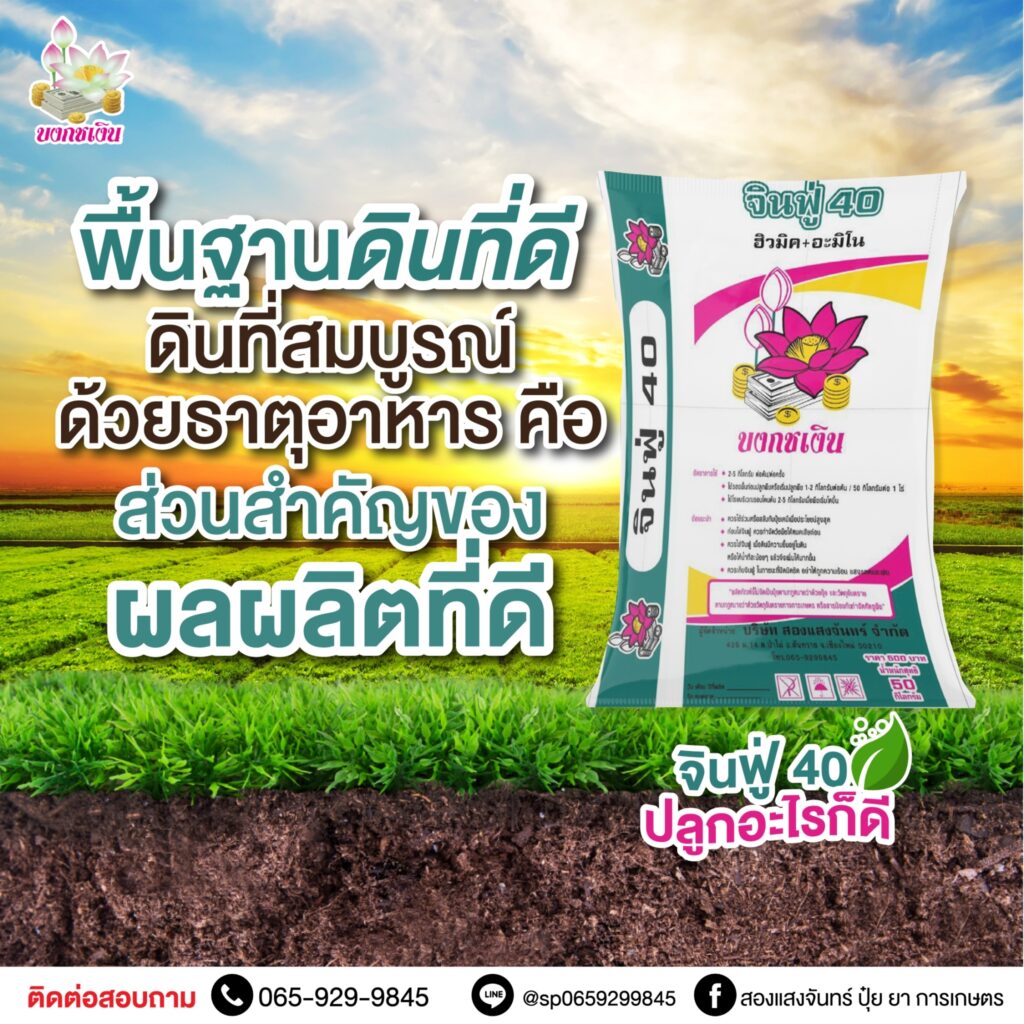 ปุ๋ย