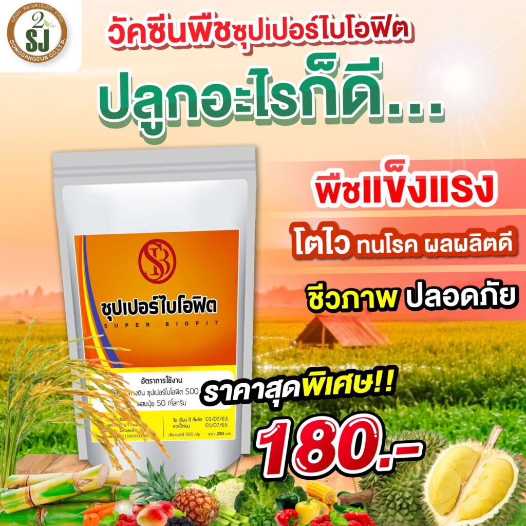 วัคซีนพืชซุปเปอร์ไบโอฟิต