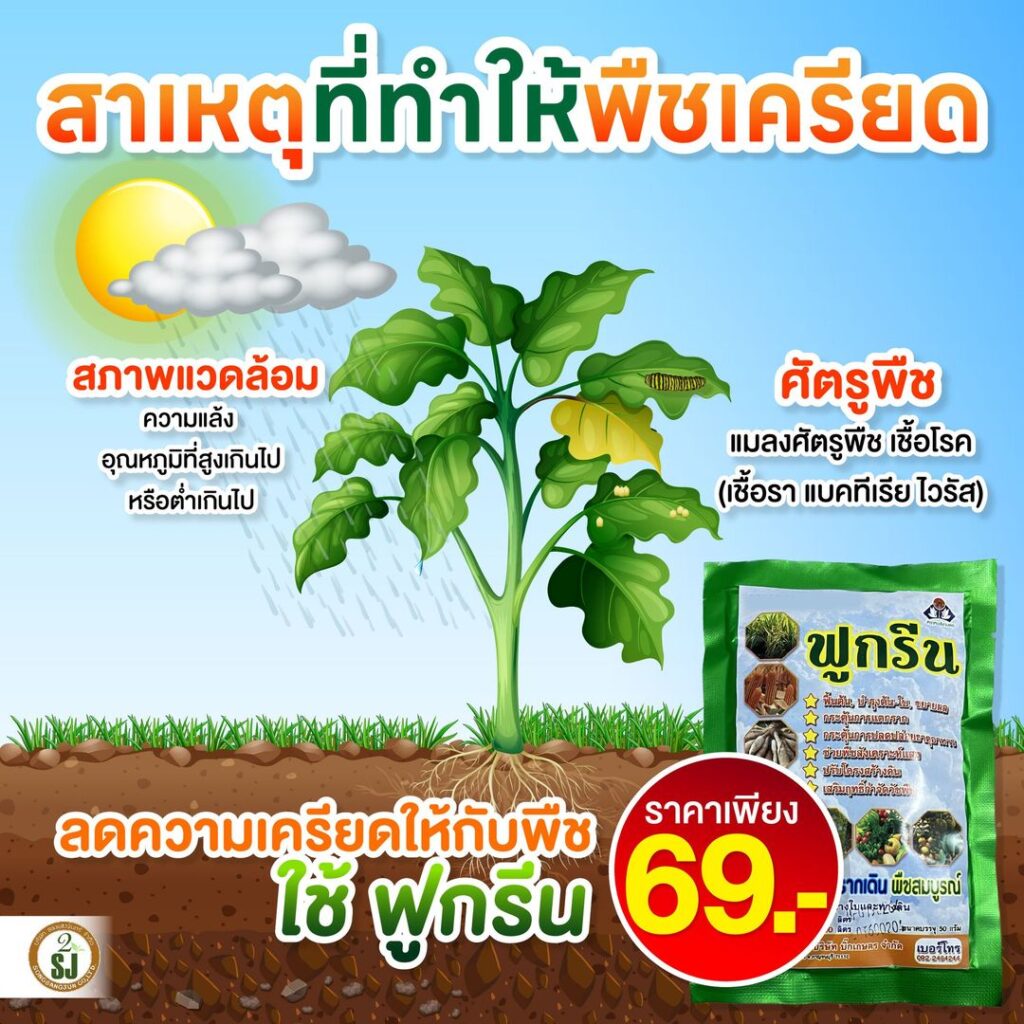 พืชเครียด จินฟู่