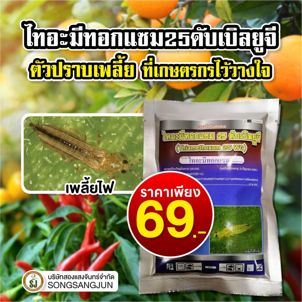 กำจัด แมลงศัตรูพืช