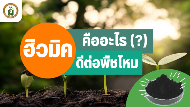 ฮิวมิค คืออะไร ดีต่อพืชไหม