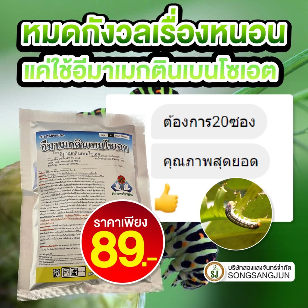 หนอนกระทู้ข้าวโพดลายจุด