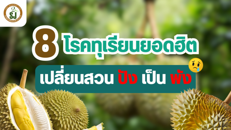 8 โรคทุเรียนยอดฮิตทำสวนปังเป็นพัง