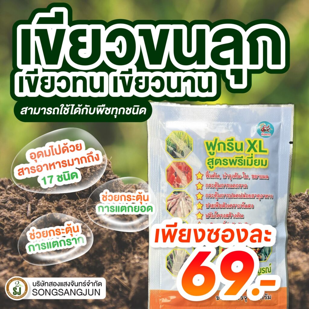 ฟูกรีนXL สูตรพรีเมียม