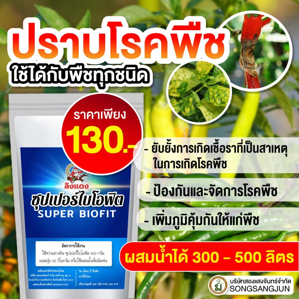 วัคซีนพืชซุปเปอร์ไบโอฟิต